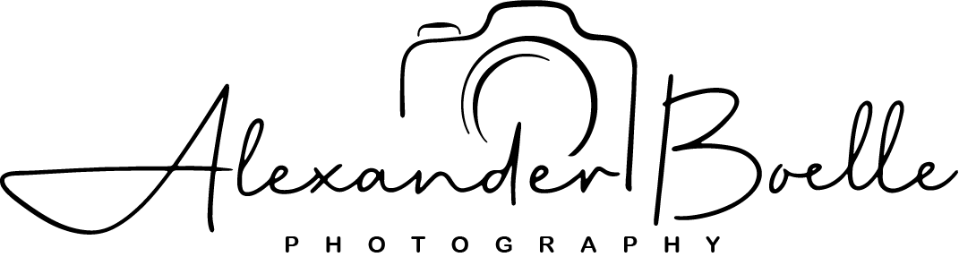 Alexander Boelle Logo B